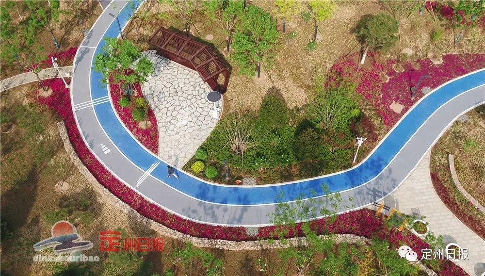 定州体育公园今天开园啦