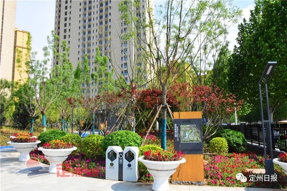 定州体育公园开园啦!_腾讯新闻