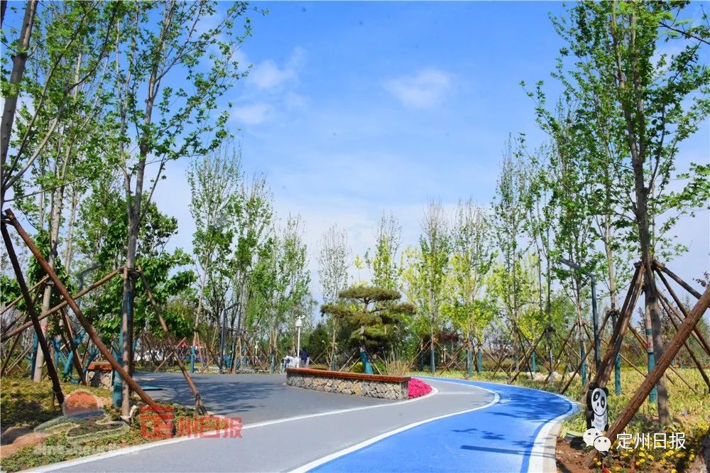 定州体育公园开园啦!_腾讯新闻