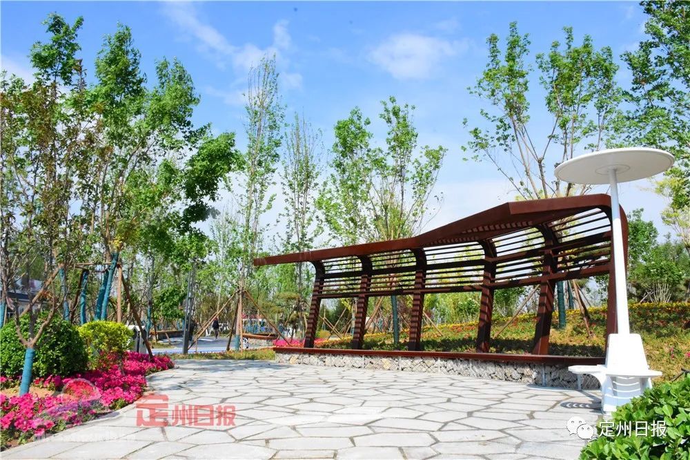 定州体育公园今天开园啦