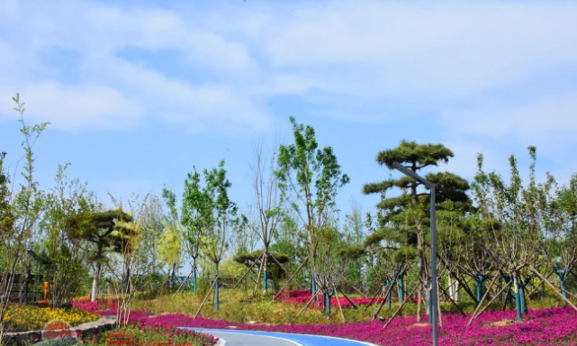 今天开园的定州体育公园 竟如此高!大!上!