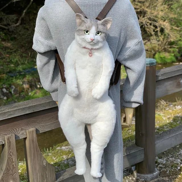 这不是虐猫 1 1超逼真 猫咪背包 遭日本猫奴疯抢 腾讯新闻