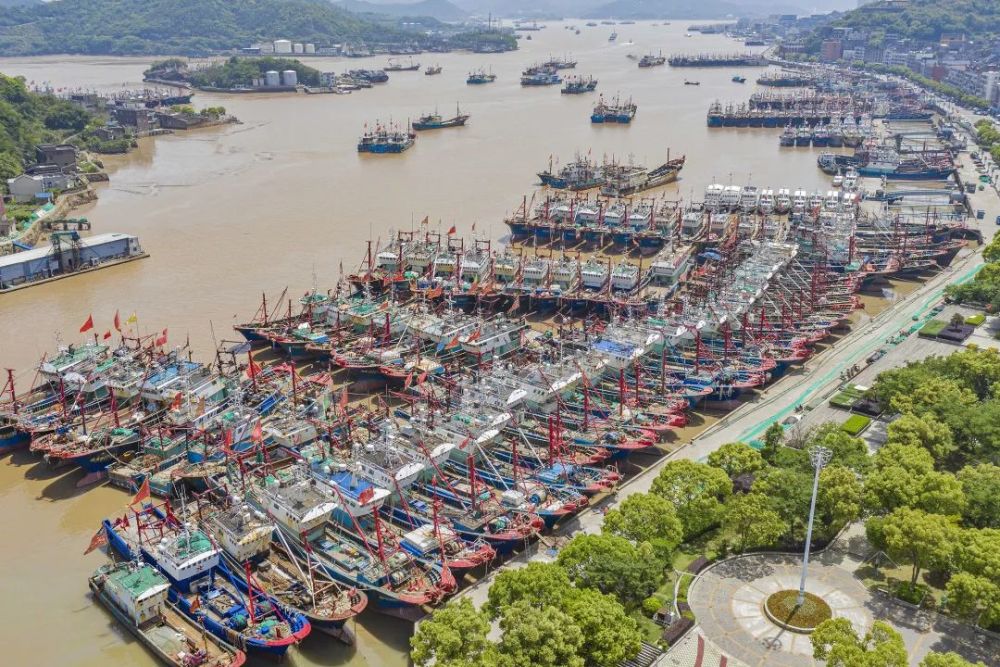 央媒聚焦东海休渔象山应休渔船全部归港