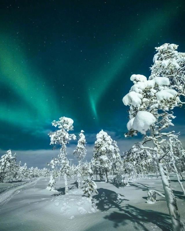 把憂傷雪藏,讓快樂像臘梅一樣為你綻放,讓好運像雪花一樣把你包圍