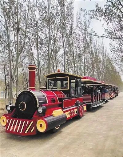 这里的小火车已经成为西青郊野公园的网红打卡地