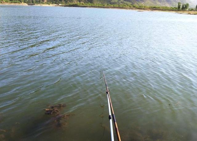 颳風天釣魚如何漁獲頗豐