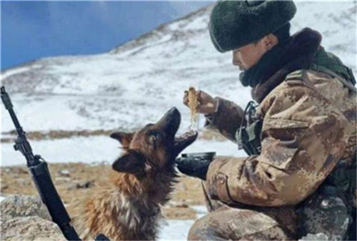 士兵哭到昏厥,导演却说:拍得真的好|导演|姚守岗|犬王