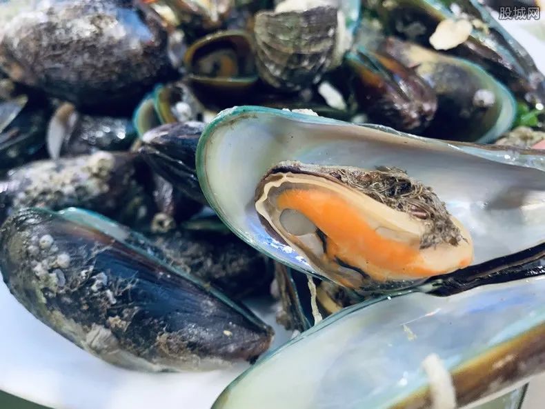 海虹的麻痺性貝類毒素是由於海虹攝食有毒藻類在體內蓄積毒素造成的