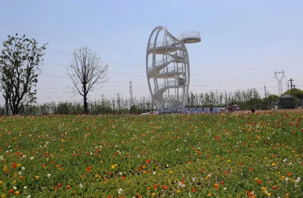 南通都市农业公园地处崇川区北部的陈桥街道,高铁西站东侧,毗邻南通