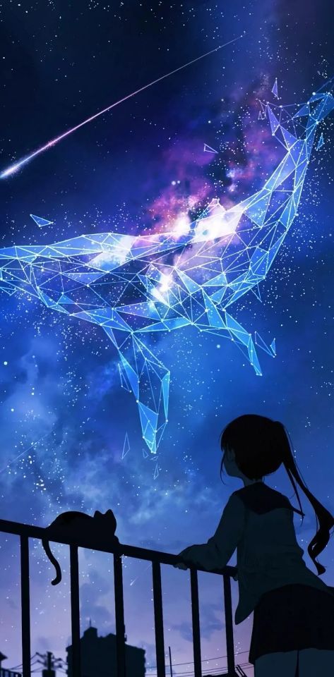 星空壁纸看到最后一张爱了爱了上