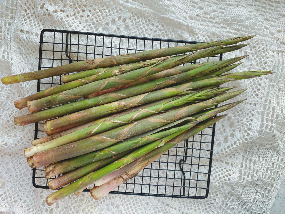 了剩下的笋肉也不多,很多人都嫌麻烦,但它却是山里人春天最喜欢的野菜