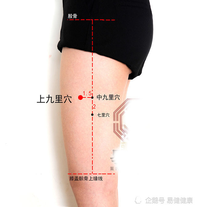 中医健康养生之人体腿部穴位中九里穴