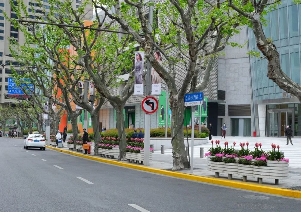 62万盆花花迎五一静安街头真的太美啦