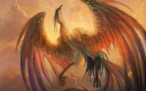 山西老农偶然发现"凤凰",风雨无阻投喂2年,如今终于等来惊喜