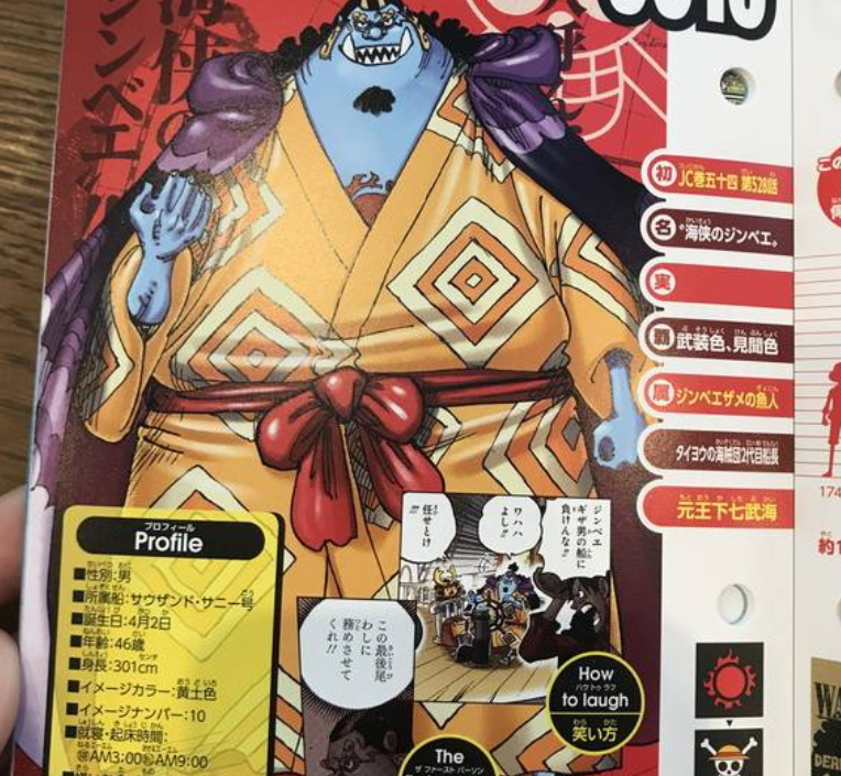 海贼王生命卡情报甚平仅是草帽团第九人首次明确阎魔是妖刀