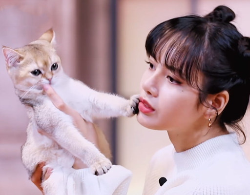 青3lisa的危机感你发现了吗明年或许不再担任导师了