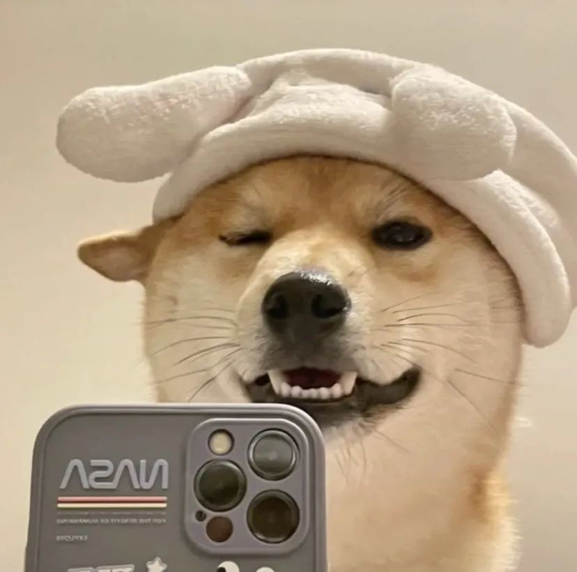 怼人语录一你会什么乐器键盘吗