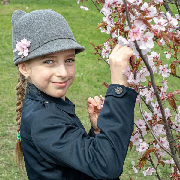 立陶宛樱花盛开