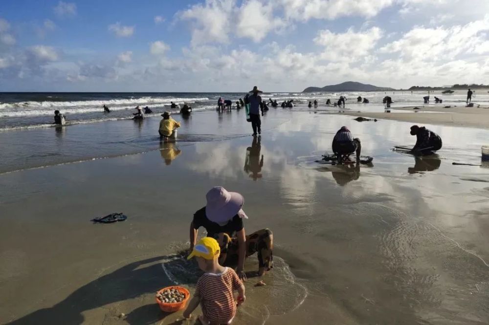 阳江赶海"老司机"教你轻松抓获小海鲜!_腾讯新闻