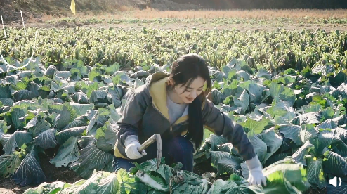 五一劳模!赵丽颖下地干活满脸笑容,颖宝:工作使我开心,使我快乐