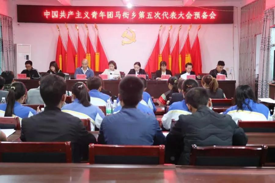 我县14个乡镇团委换届选举工作圆满完成