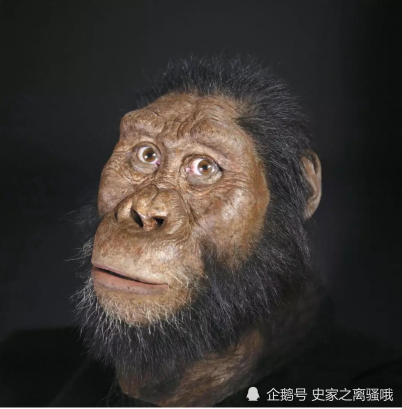 古人的社会生活古人的体质比猿人有显著进步 ,劳动经验和技能逐渐有了