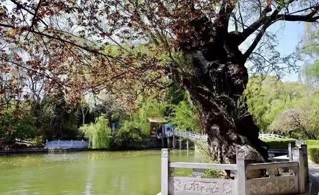 雷音山景區,靈官峽,岐山周公廟,消災寺,吳山,藥王谷,青峰峽森林公園