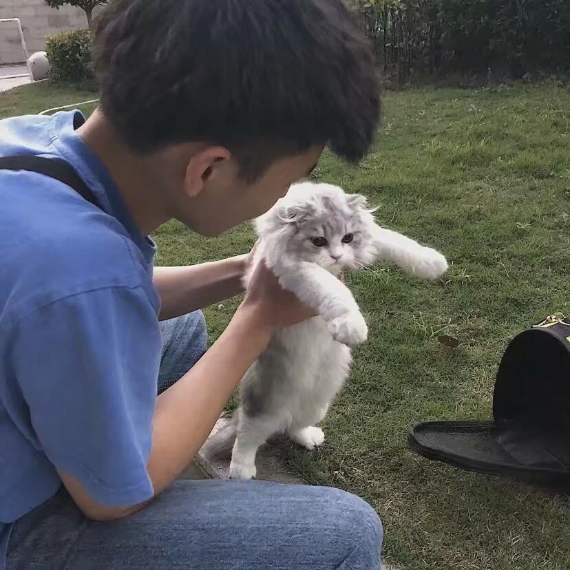 男生头像人生最大的教养就是接受父母的平凡