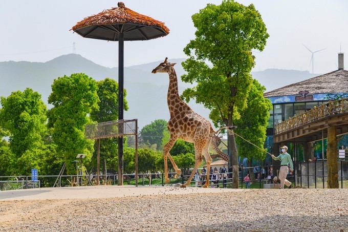 浙江龙之梦动物世界游玩攻略五一亲子游来这就够了