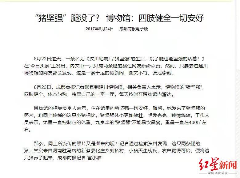 “活文物”豬堅強14歲了 樊建川：我本意隻是不想它挨刀