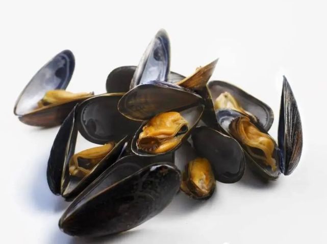 河北秦皇岛监测到海虹麻痹性贝类毒素超标2倍以上,发布禁食预警.