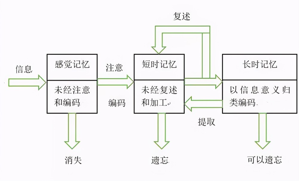 人类为何"没有"三岁之前的记忆?