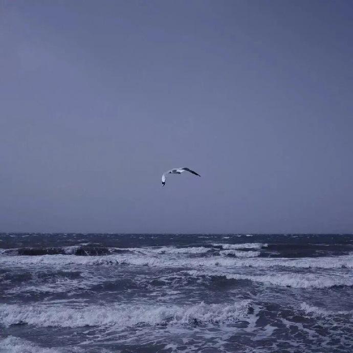 背景圖你會喜歡的大海背景圖