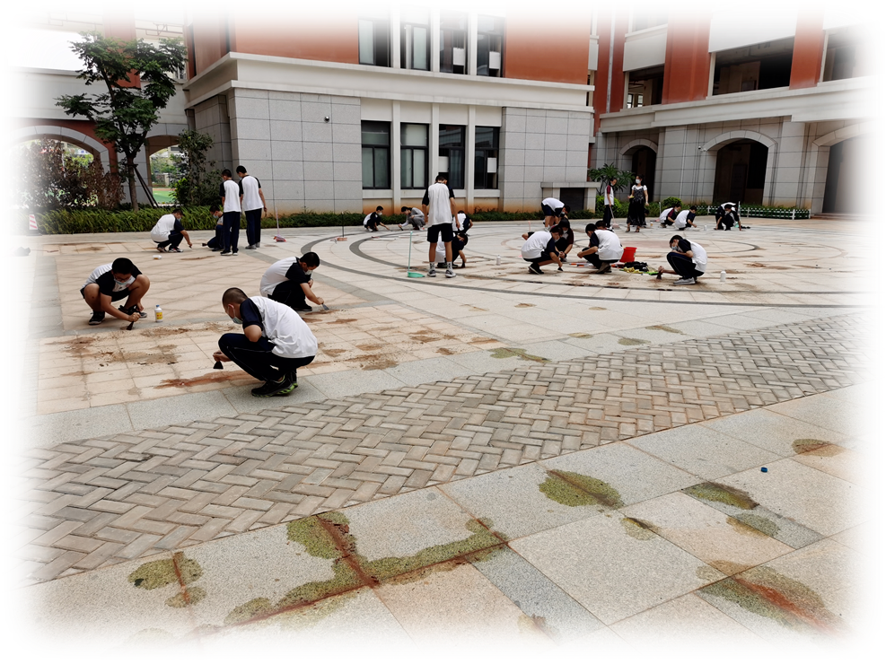 厦门小升初学校攻略集美区诚毅中学怎么样最近片区内排名第一