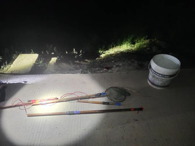 人才眉山父子俩到别人承包鱼塘电鱼还把老板打伤了