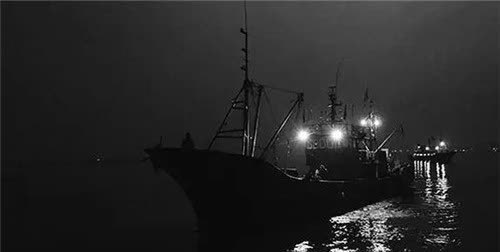 鲁荣渔2682号大逃杀33人出海11人返港人性究竟能有多阴暗