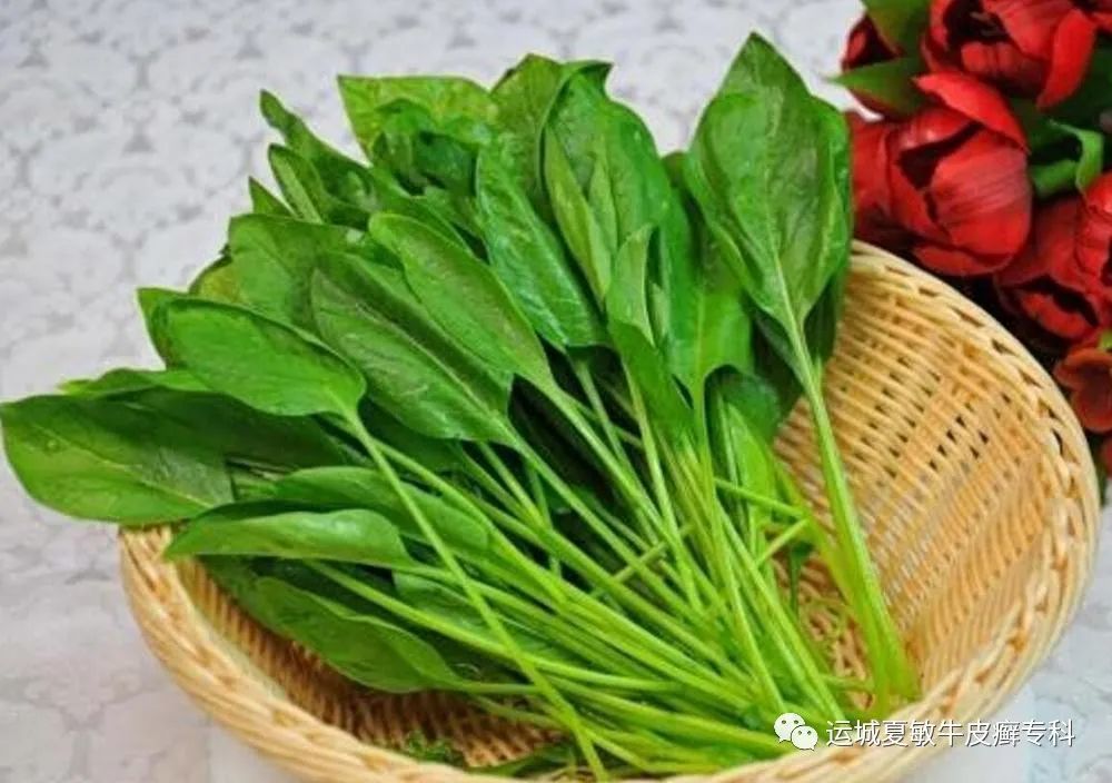 眼睛模糊看不清多煮这些食物吃养眼明目远离老花眼