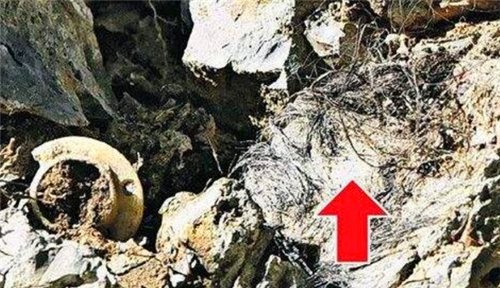 17岁少女被4名未成年绑架,囚禁41天虐待500多次,最后她怎样了?