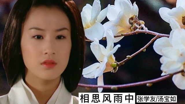 张学友汤宝如演唱的粤语经典歌曲相思风雨中