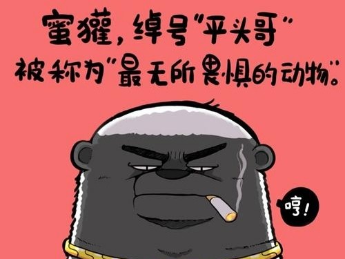 萧炎:打出来的名堂|平头哥|萧炎