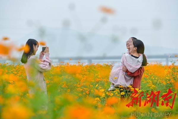 衡东 湿地花海 护碧水 腾讯新闻