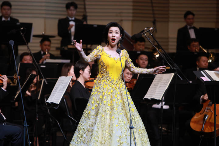 新松计划飘来琳琅清响唐琳独唱音乐会精彩上演