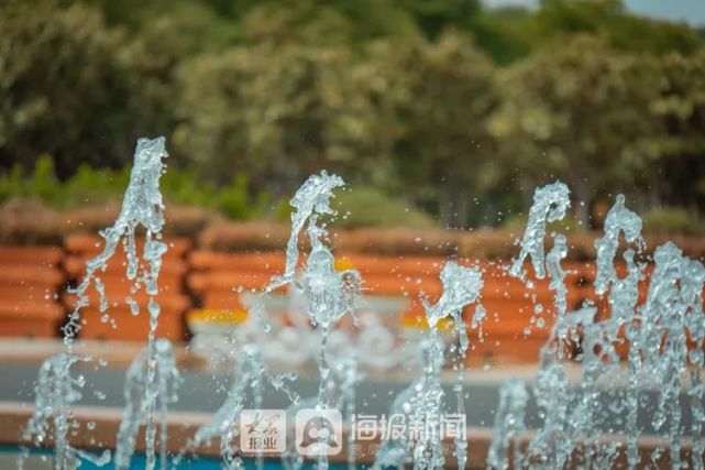 薛城凤鸣湖喷泉图片
