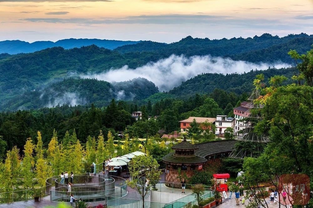 到碧峰峡的游客请注意:成雅高速雅安段碧峰峡出口关闭_腾讯新闻