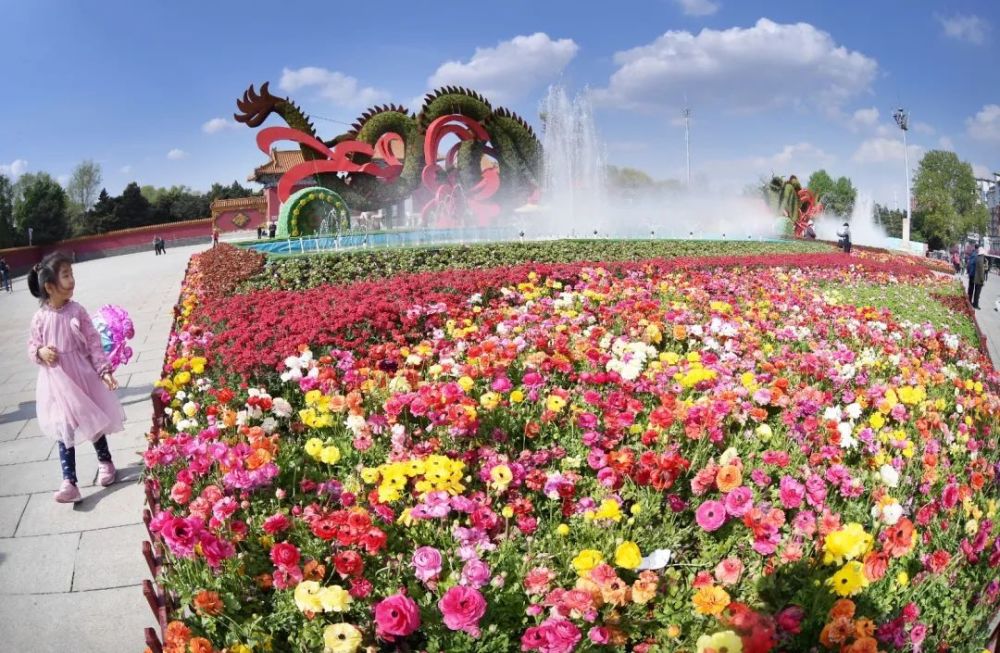 今年花朝节的主题畅游幸福沈阳美丽北陵踏春赏花看古迹啥也不说了小编