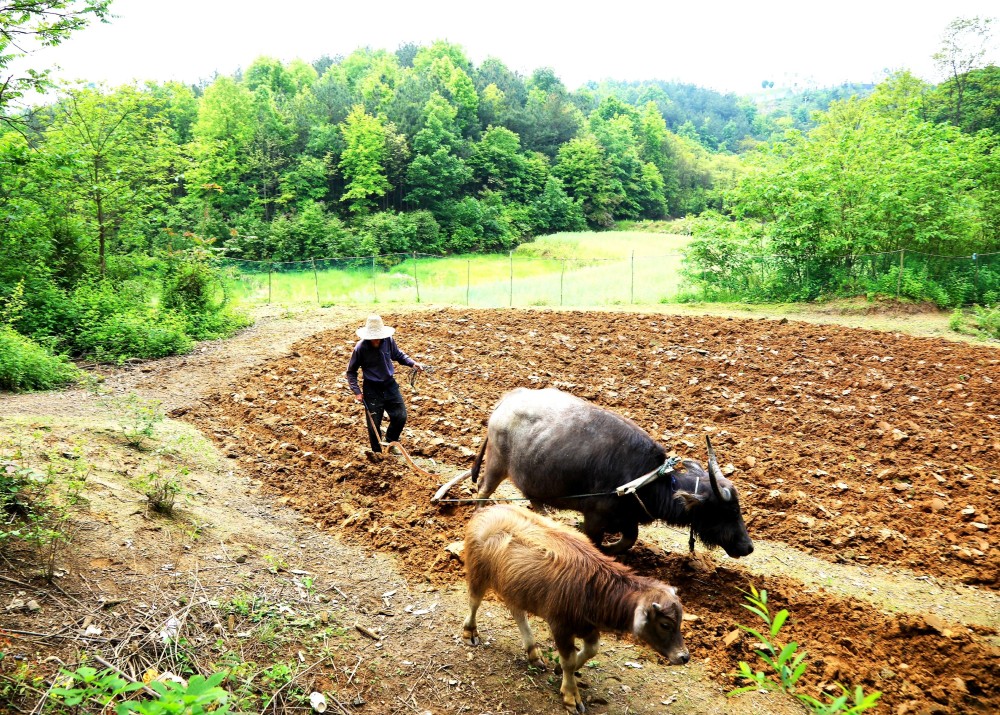 春耕忙|城市摄影队_腾讯新闻