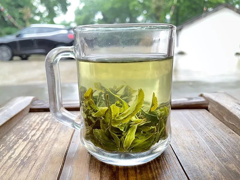 信茶记丨罗山一场风雨农家一杯粗茶
