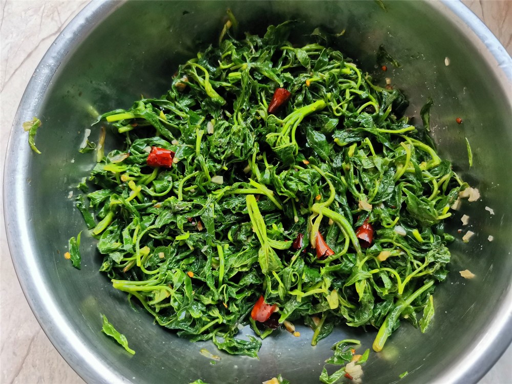东北山野菜"刺五加叶,教你这样做,比蘸酱还好吃,清香味美