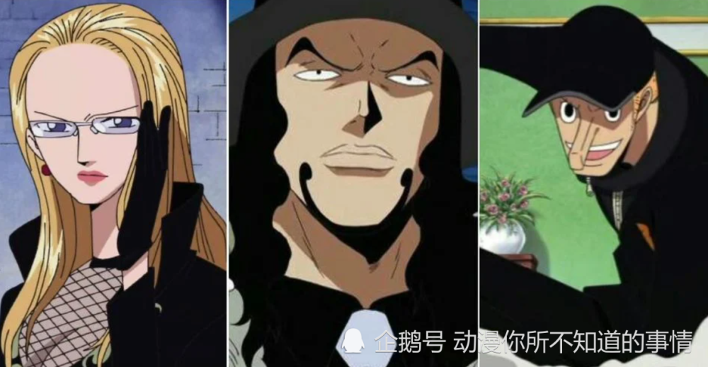 海贼王回顾cp0前身cp9恐怕路奇已经拥有了大将实力道力一万