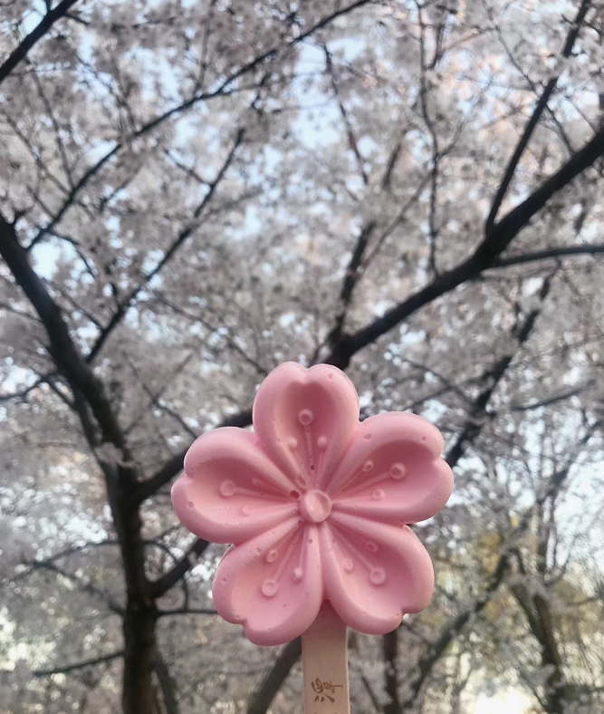 玉淵潭櫻花雪糕△杭州西湖雪糕△蘇州獅子林雪糕△洛陽牡丹雪糕如今